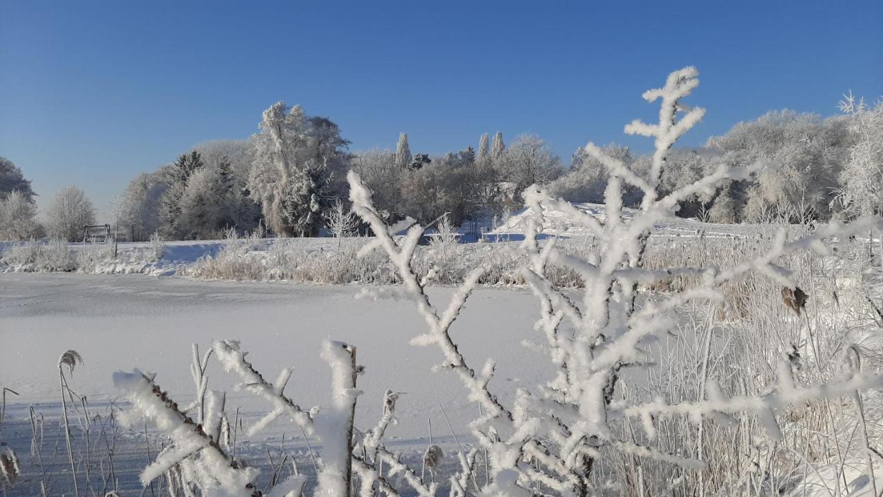 Orzechowy Dworek Nowy Dwór Gdański Εξωτερικό φωτογραφία